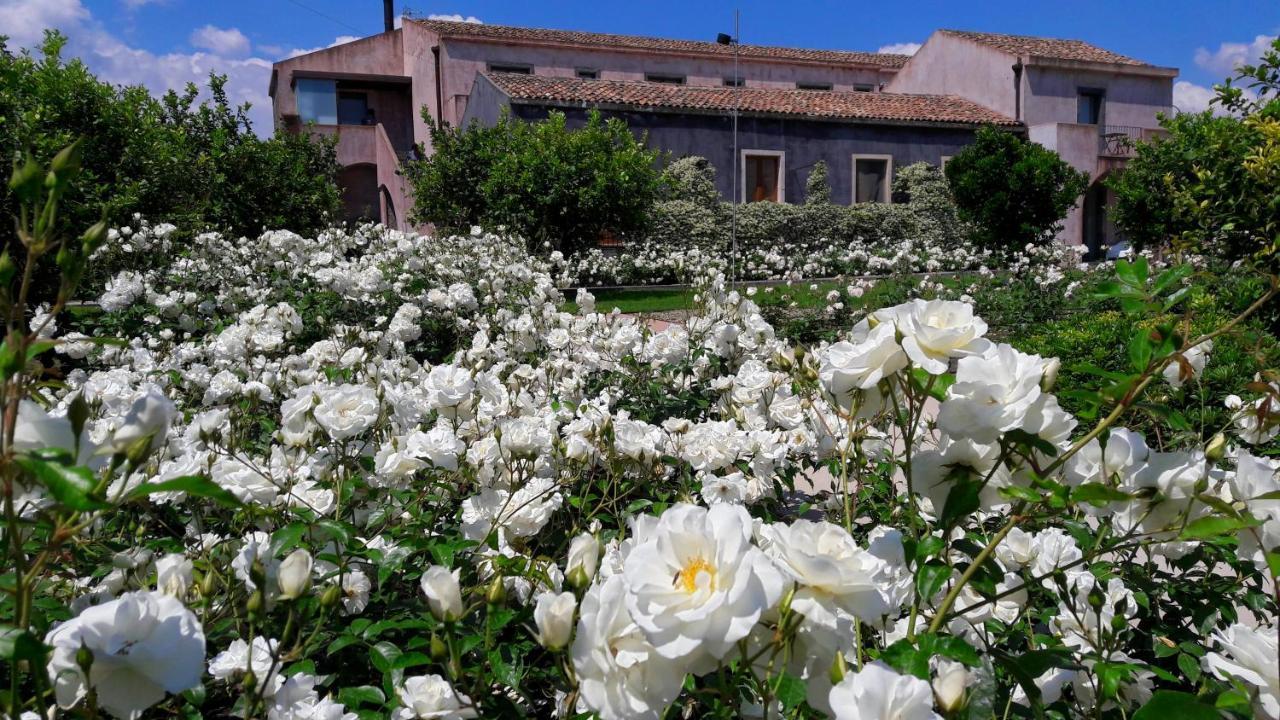 Ramo D'Aria Etna Boutique Hotel Giarre Exterior photo